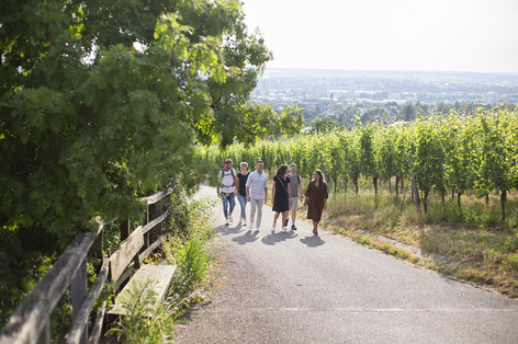 Wanderung auf dem Wein Panorama Weg am Wartberg Wanderung auf dem Wein Panorama Weg am Wartberg