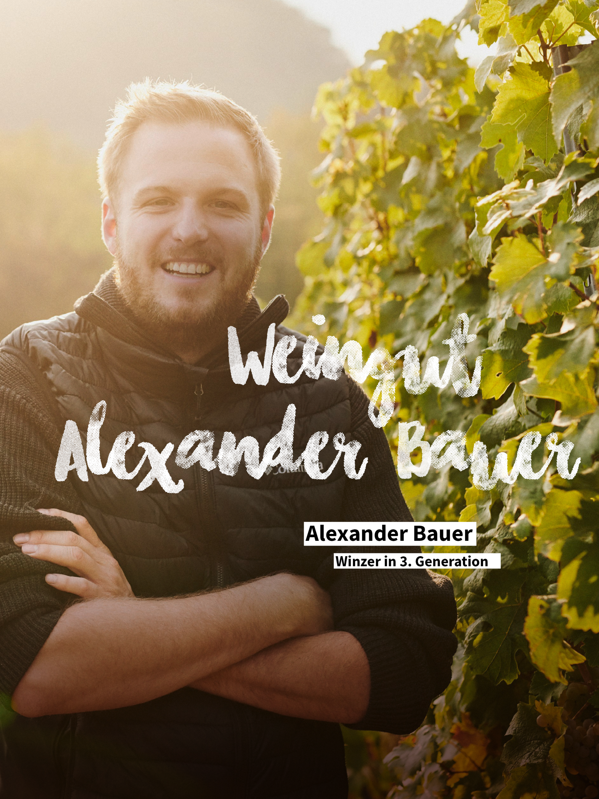 Weingut Bauer: Alexander Bauer im Portrait Weingut Bauer: Alexander Bauer im Portrait