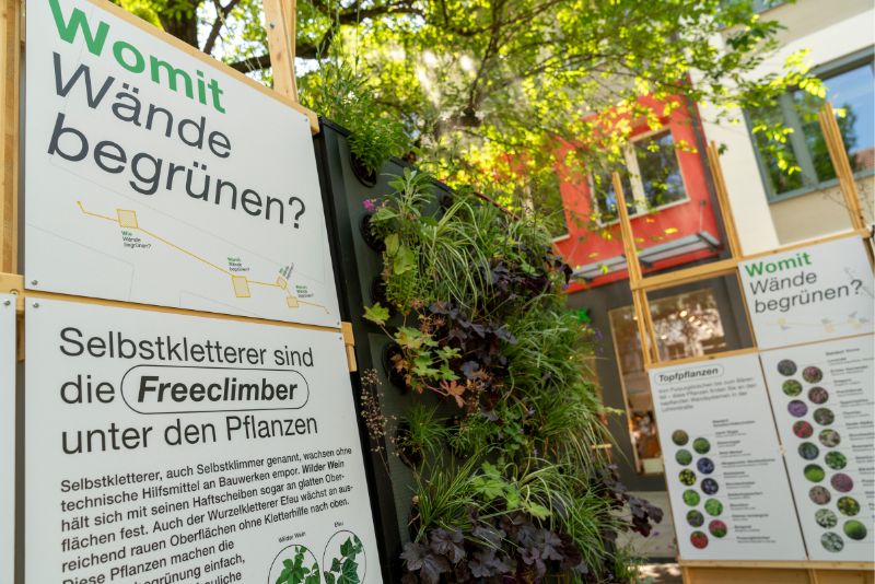 Eine Infotafel zum Thema Vertikalgärten und ein Vertikalgarten