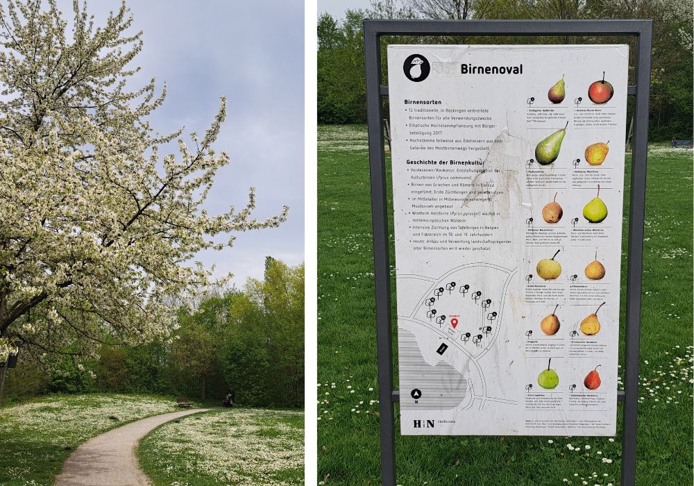 Zwei Bilder, eins zeigt den Weg mit einem blühenden Baum, das andere eine Infotafel
