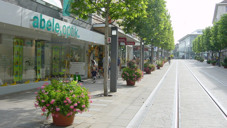 Platanen in der Kaiserstraße (Foto: Stadt Heilbronn)