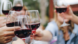 Gruppe stößt mit Rotwein an