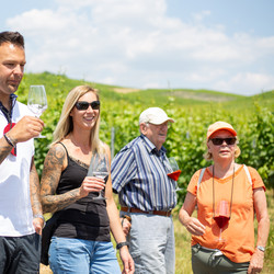 Von der Rebe bis ins Glas - Weinerlebnisführung in Heilbronn Von der Rebe bis ins Glas - Weinerlebnisführung in Heilbronn
