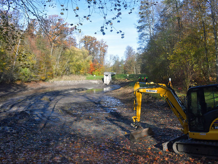 Abgelassener Köpferstausee, im Vordergrund ein Bagger