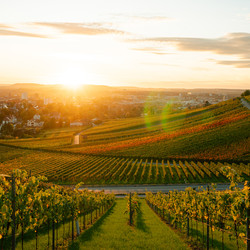 Heilbronner Wartberg Heilbronner Wartberg