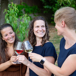 Weingenuss in den Heilbronner Weinbergen Weingenuss in den Heilbronner Weinbergen