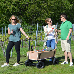 Mit dem Bollerwagen durch die Heilbronner Weinberge Mit dem Bollerwagen durch die Heilbronner Weinberge