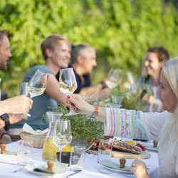 Genussabend im Weinberg Genussabend im Weinberg