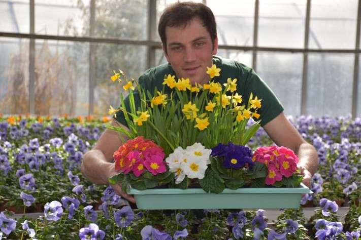 Stadtgärtner Benjamin Schlubkowski präsentiert mit Narzissen und Primeln eine Anwahl an Frühjahrsblühern, die ab Mitte März im Stadtgebiet gepflanzt werden