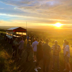Planwagenfahrt in den Heilbronner Weinbergen Planwagenfahrt in den Heilbronner Weinbergen