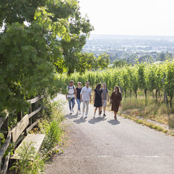 Weinwanderung am Heilbronner Wartberg Weinwanderung am Heilbronner Wartberg