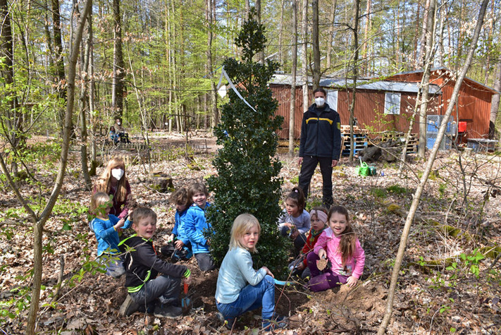 Kinder des Waldkindergartens Laubfrosch mit ihrer Erzieherin Sarah Passow und Forstrevierleiter Stephan Drescher bei der Pflanzung der Stechpalme. - Foto: Stadt Heilbronn