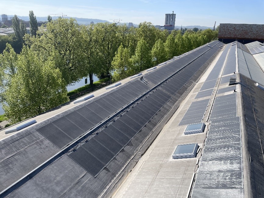 Ein Luftbild der PV-Anlage der Firma Pflanzen Kölle