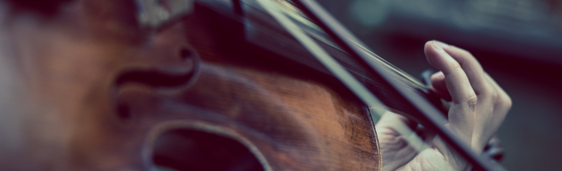 Violinenspieler*in, © pixabay