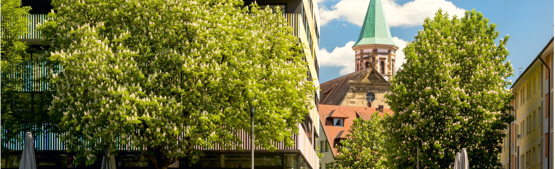 Deutschordensmünster am Marrahaus