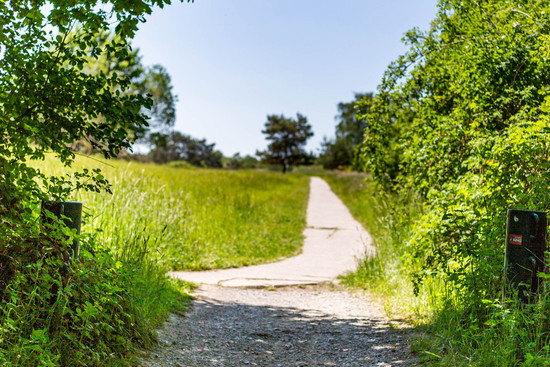 Walderlebnispfad Waldheide