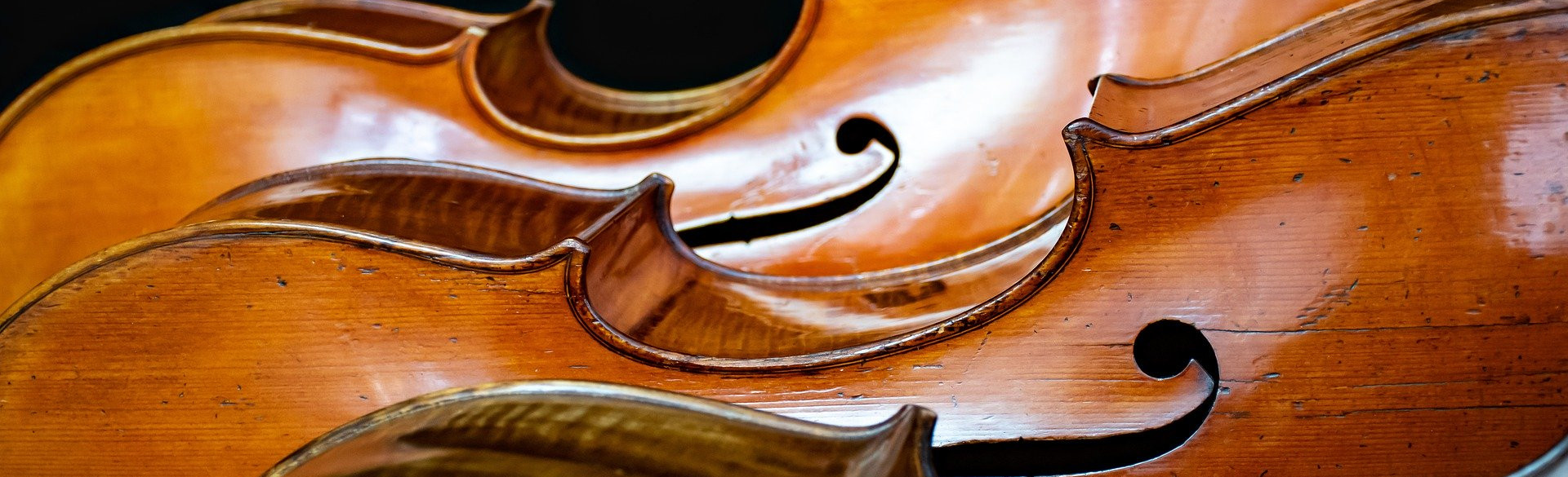 Violoncello